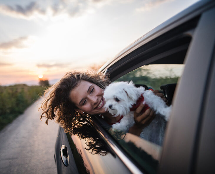 grinning young woman holding tiny puppy up to window of car on a country road at sunset