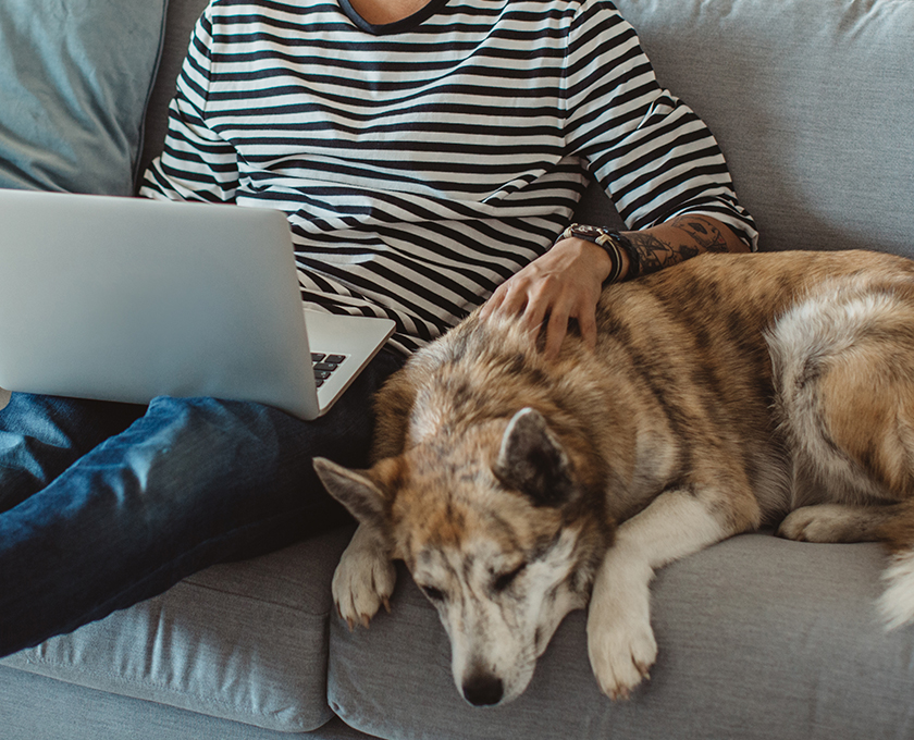 young person sitting on sofa with laptop open in lap and one tatooed arm on the pet dog laying next to them