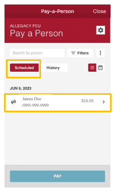 pay-a-person instructions