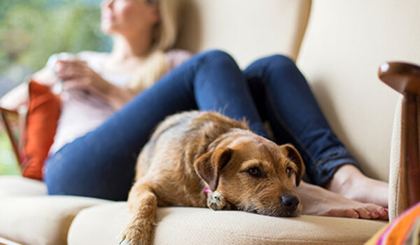 woman with dog on sofa