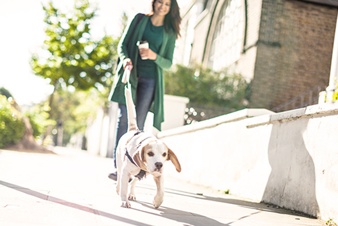 Woman walking dog