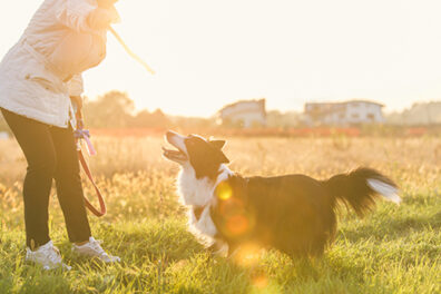 woman with dog in field