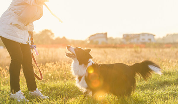 woman with dog in field